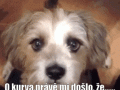 ezgif_4006829594.gif
